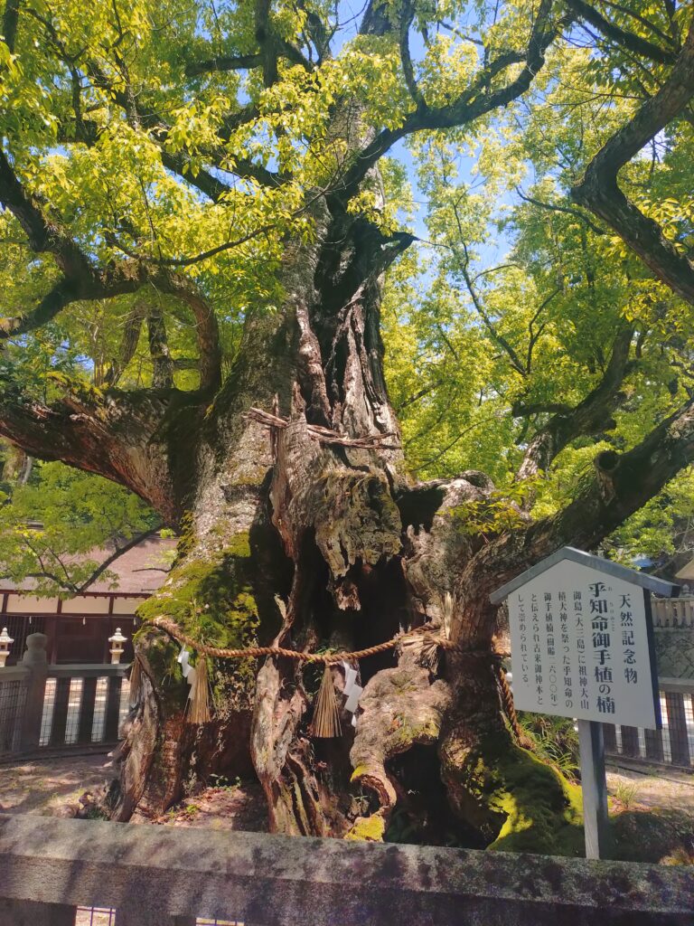 大山祇神社
