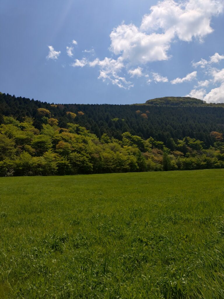 大野ヶ原